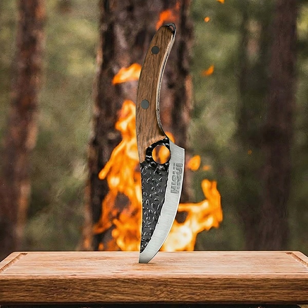 H2ISUI